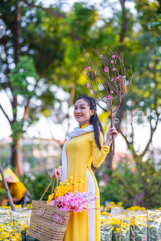 越南女孩穿着传统的ao dai服装，手持花枝在越南享受新年。春节和新年。